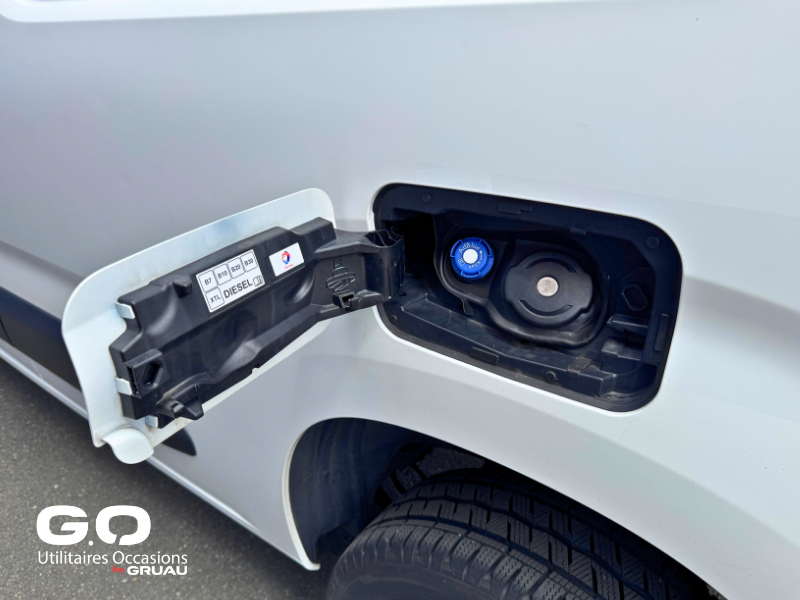 Citroen berlingo 4x4 occasion dangel (19)
