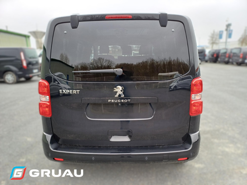 EXPERT ASPHALT STANDARD BLUE HDI 145CV S&S EAT8 (8)