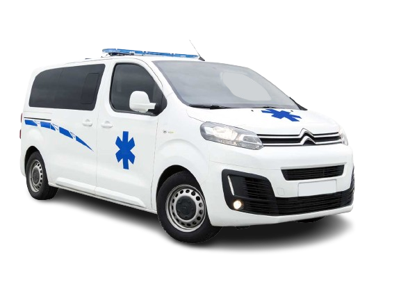Véhicule ambulance occasion